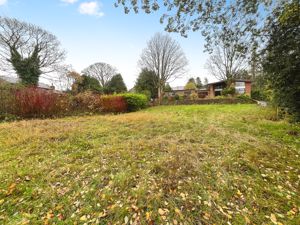 Garden- click for photo gallery